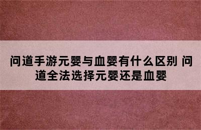 问道手游元婴与血婴有什么区别 问道全法选择元婴还是血婴